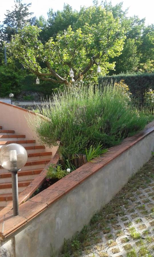 Villa Rosa Caporciano المظهر الخارجي الصورة